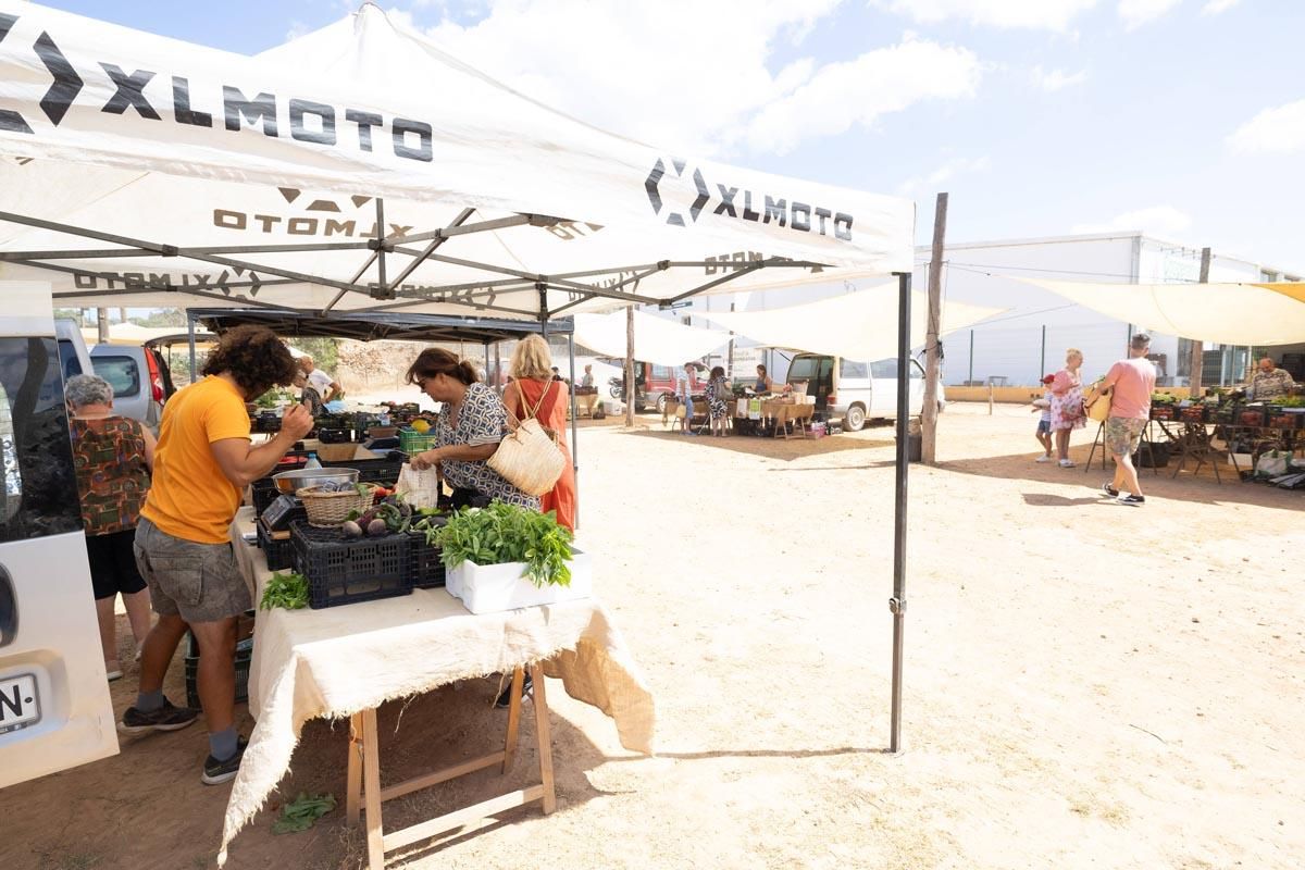 Las imágenes del mercado de sa cooperativa de Sant Antoni