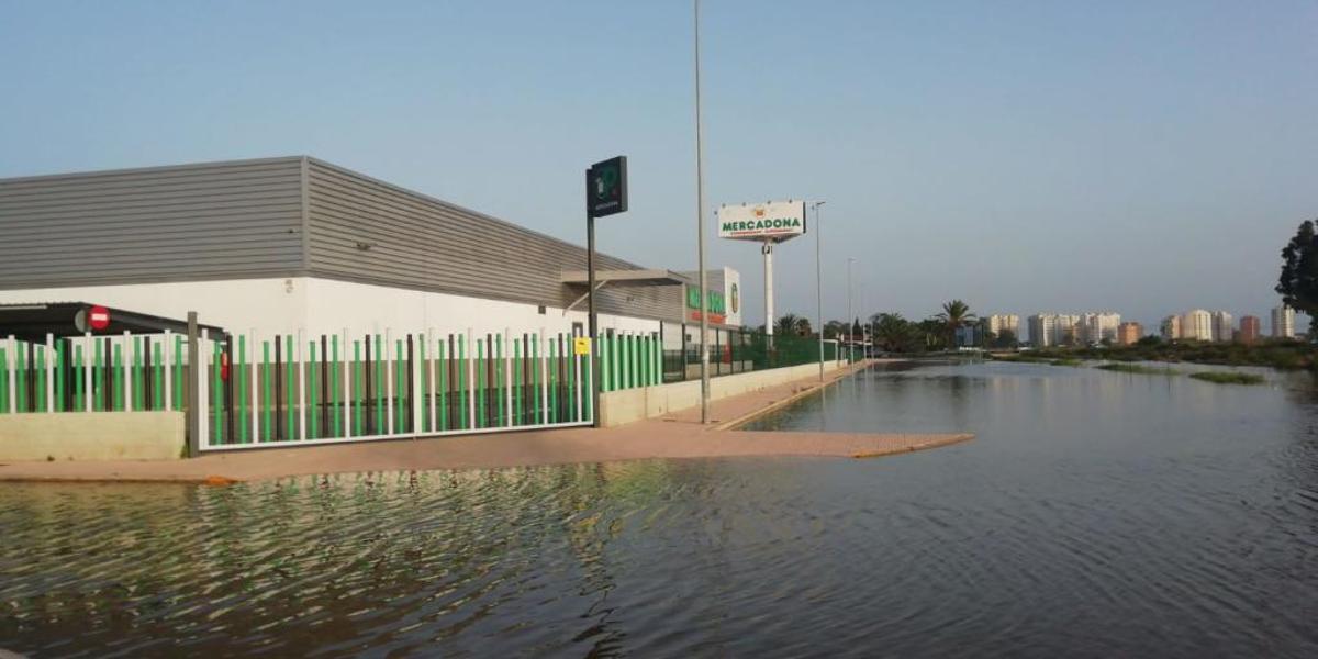 En directo: Los agricultores cifran en 550 millones las pérdidas en el campo de la provincia de Alicante