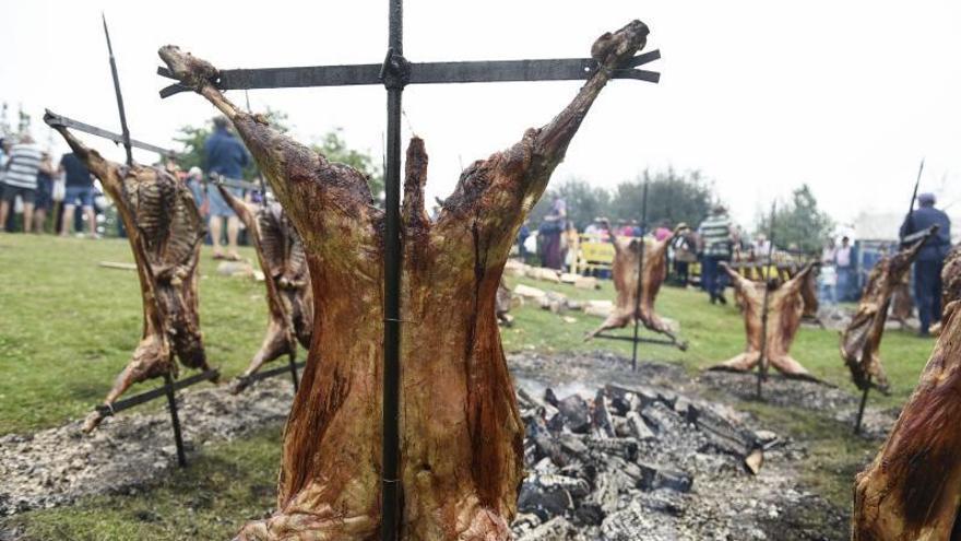 Corderos asándose en el «prau» Llagüezos, con romeros al fondo.