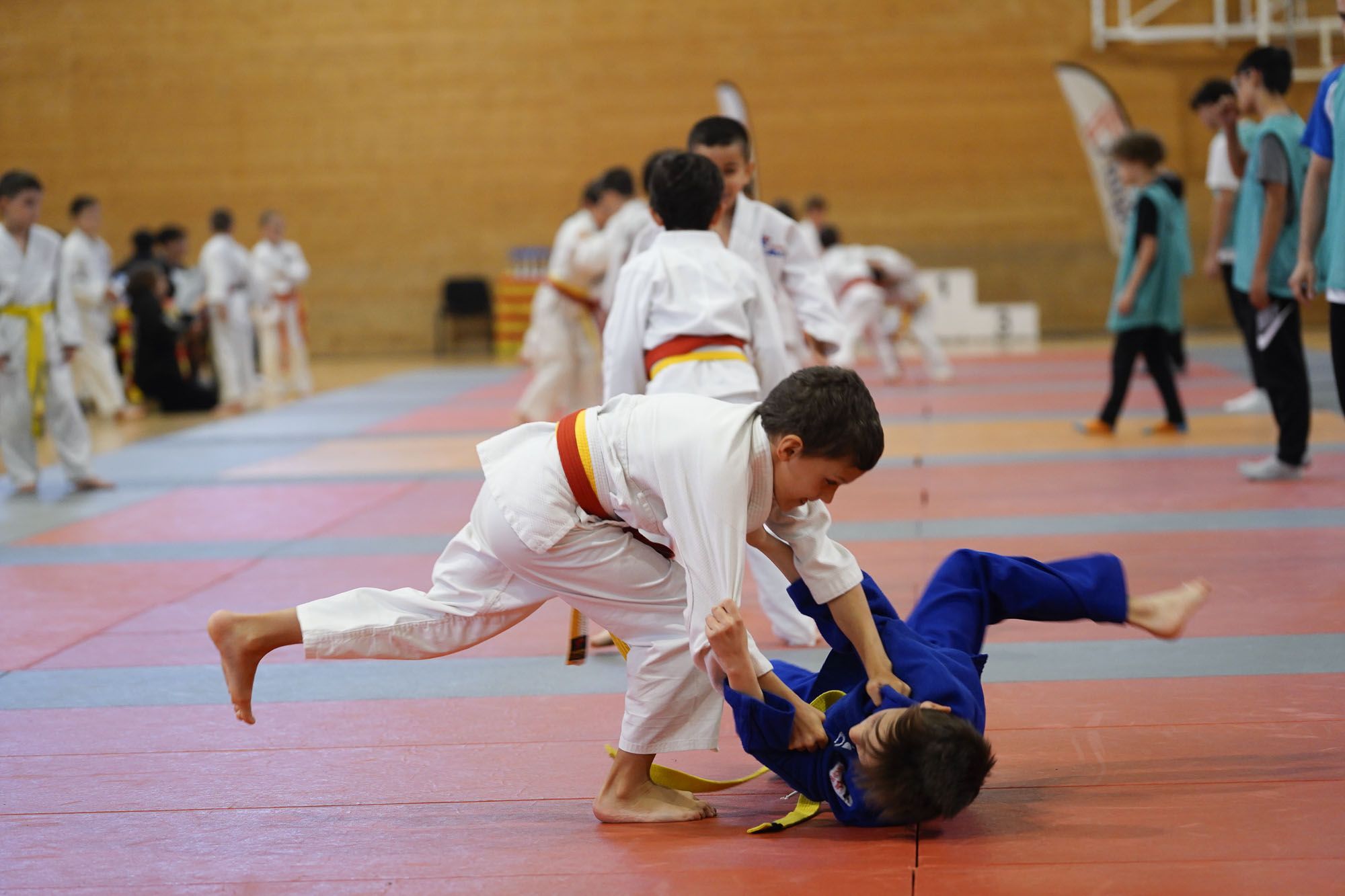 Les imatges del torneig infantil de judo de l'Escola 7