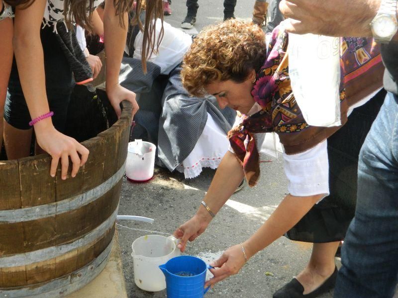 Fiesta de la Vendimia en Moraleja del Vino