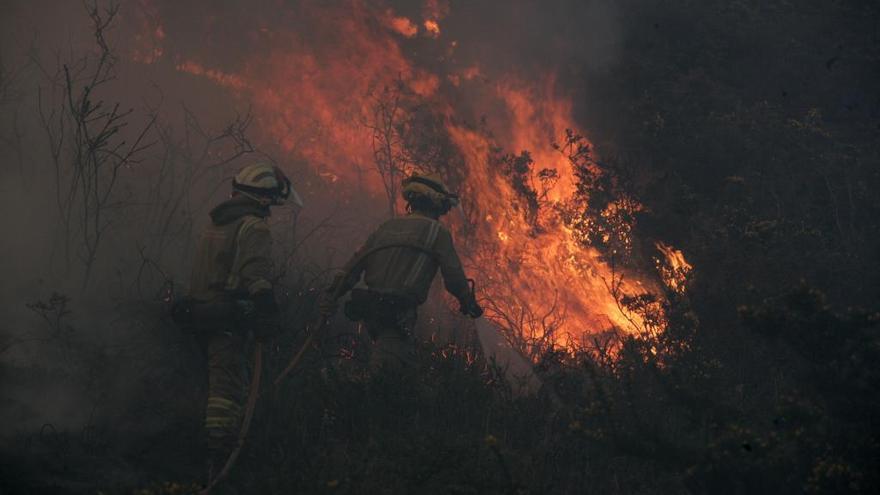 Incendio forestal en Codeseda.