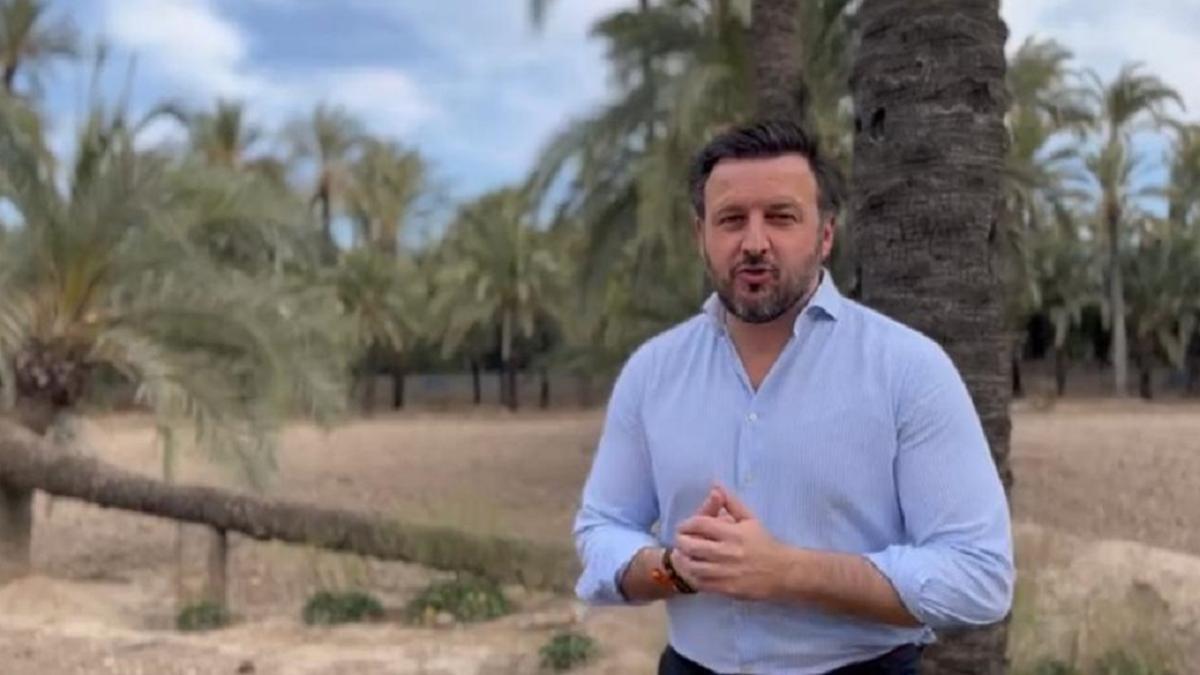 Pablo Ruz junto a un huerto de palmeras de Elche