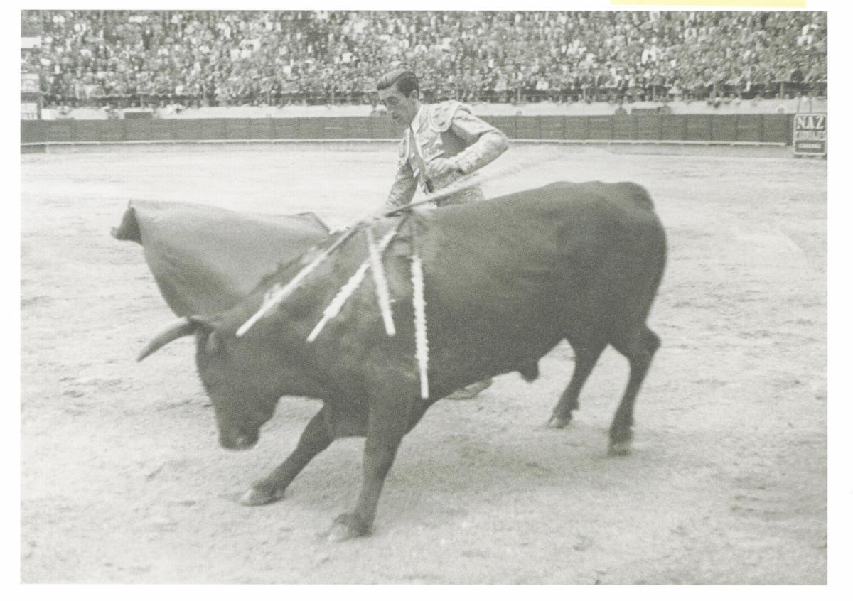 Al capote en la plaza de Córdoba en 1942 Al capote en la plaza de Córdoba en 1942