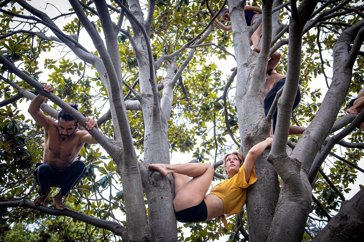 Alumnos de Tarzan Movement por las ramas.