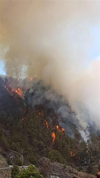 Incendio forestal en la zona de Montaña de Jedey