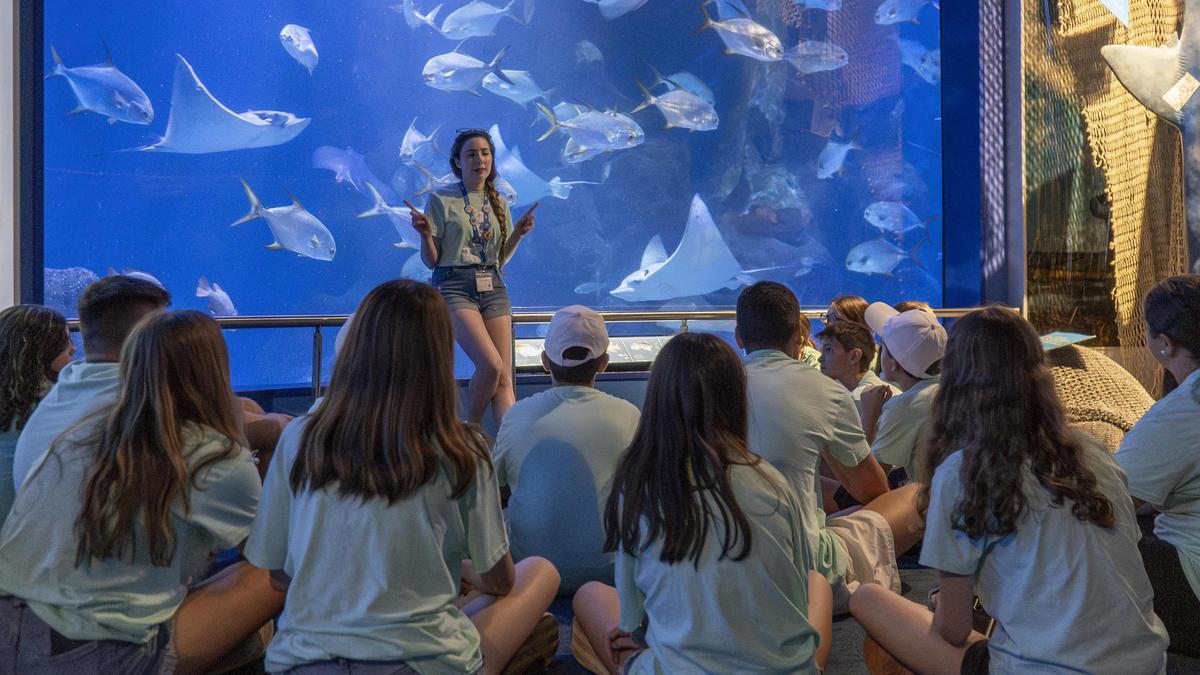 Una educadora explica Biologia als alumnes.