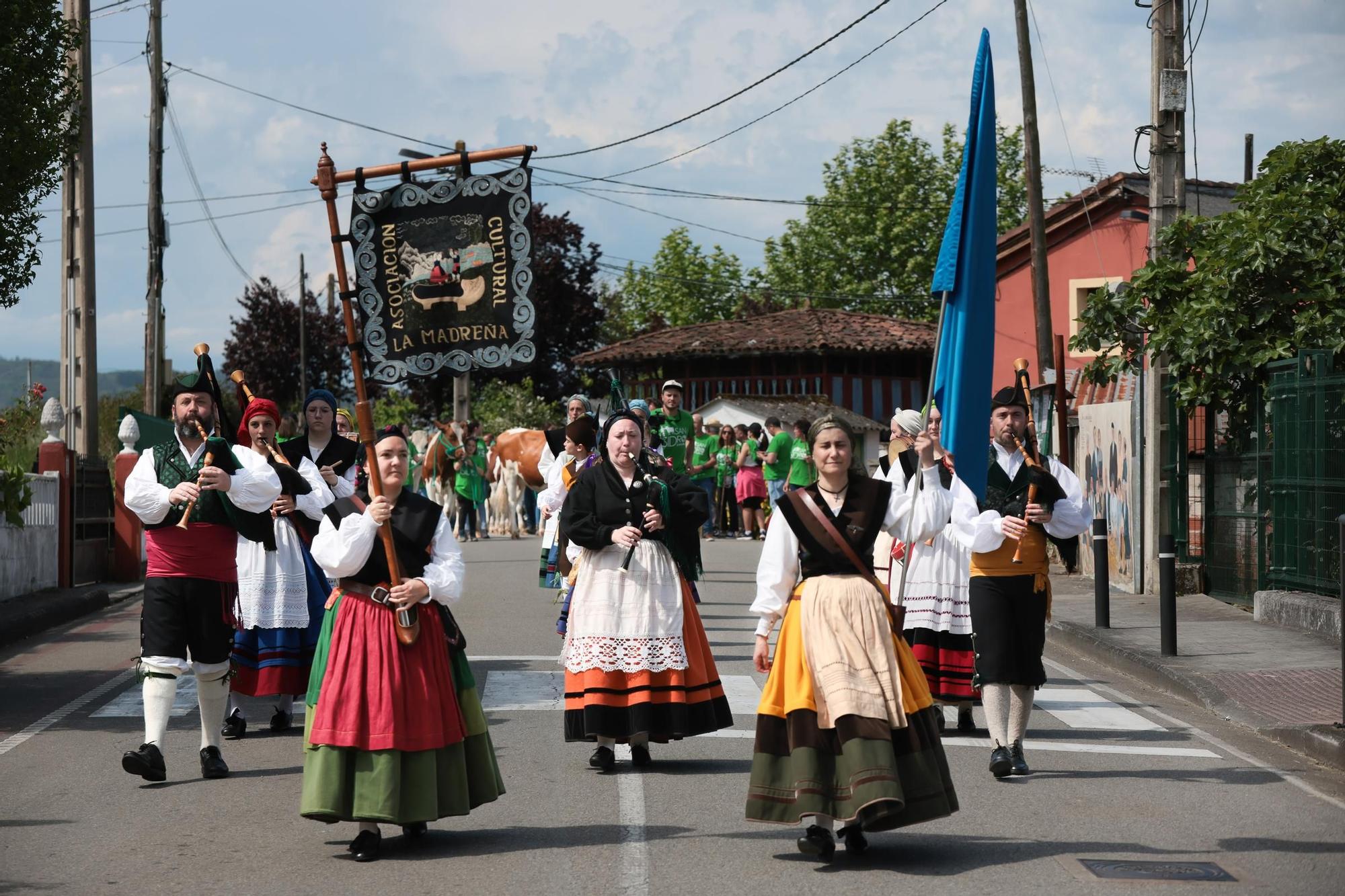 Marea verde en Llanera: el campo tomó la calle con el espectacular desfile de carros y animales