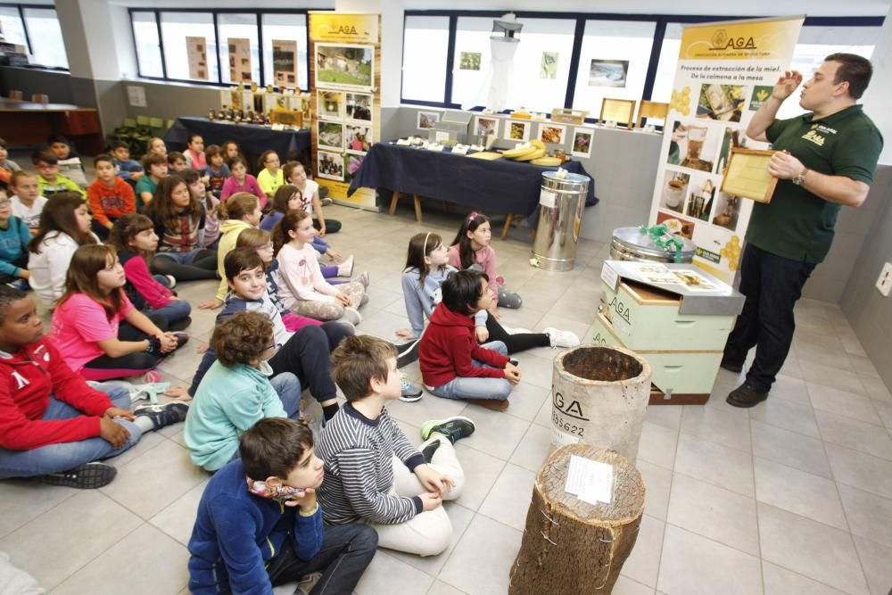 Semana de la Cultura Asturiana en el CP Jovellanos