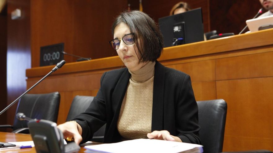 La exdirectora de Aragonesa de Servicios Telemáticos ficha por Hiberus, a quien se le adjudicaron 14,5 millones en contratos públicos