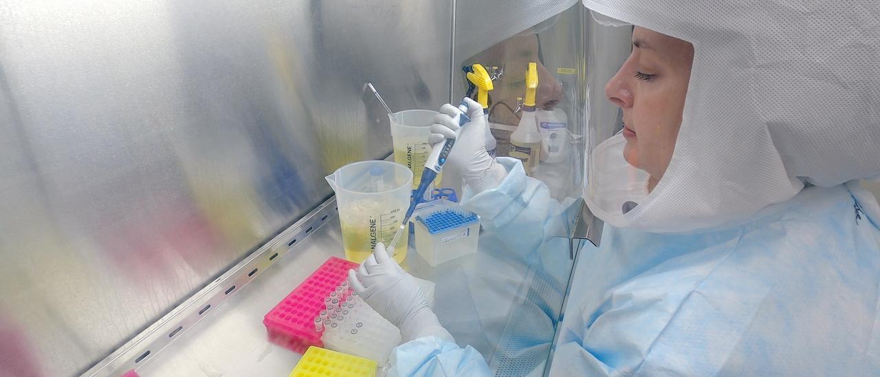 Una investigadora trabaja en un laboratorio de biocontención.
