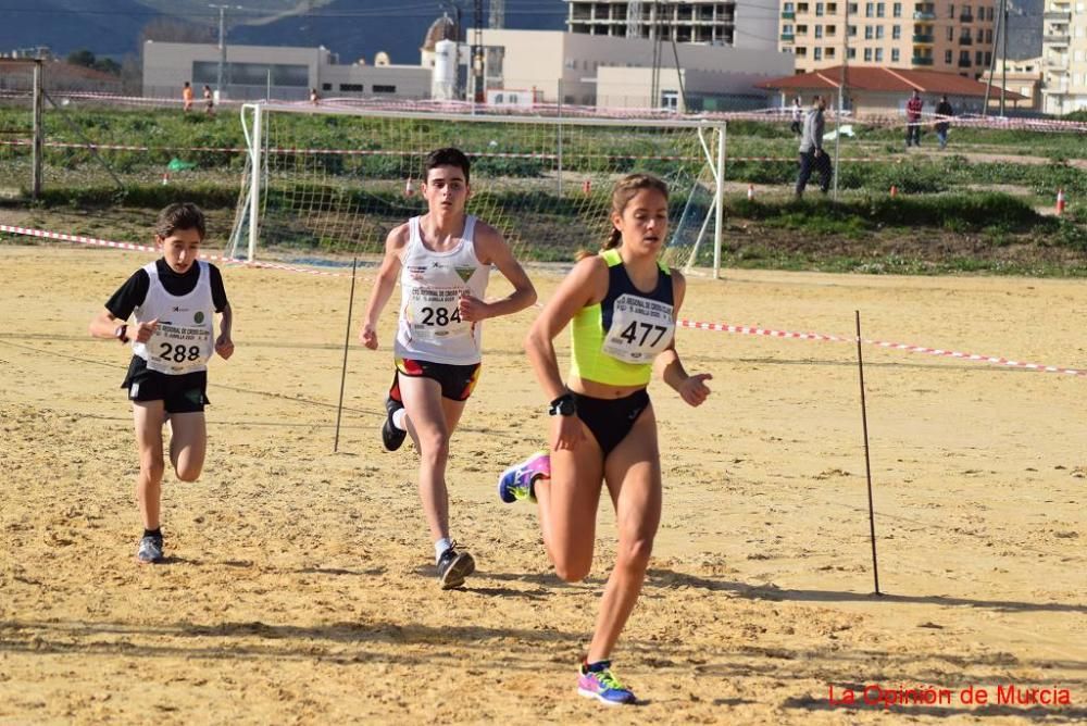 Cross de Jumilla 2