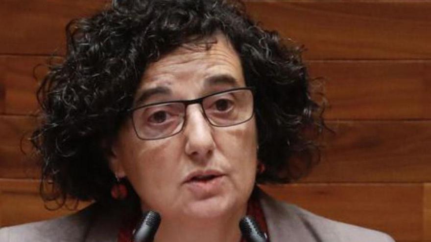 Berta Piñán cerró la última Comisión de Cultura de la Junta con poesía y lágrimas