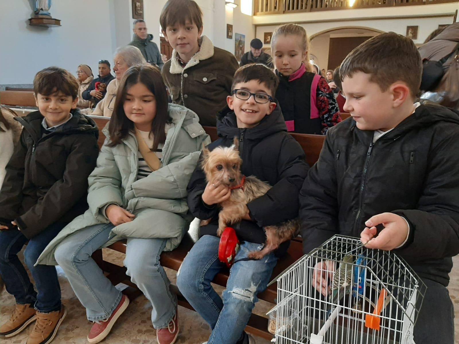 Los animales, protagonistas en Lugones: el día de San Antón en imágenes