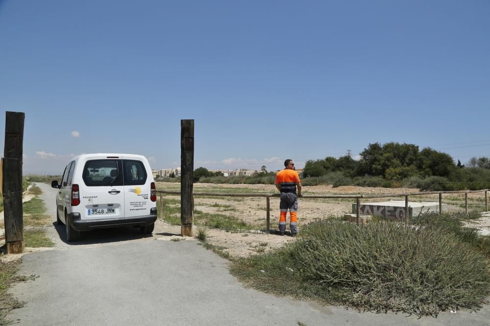 Agamed mejorará la capacidad de las balsas de laminación contra inundaciones para reutilizar más agua de lluvia para riego agrícola en Torrevieja