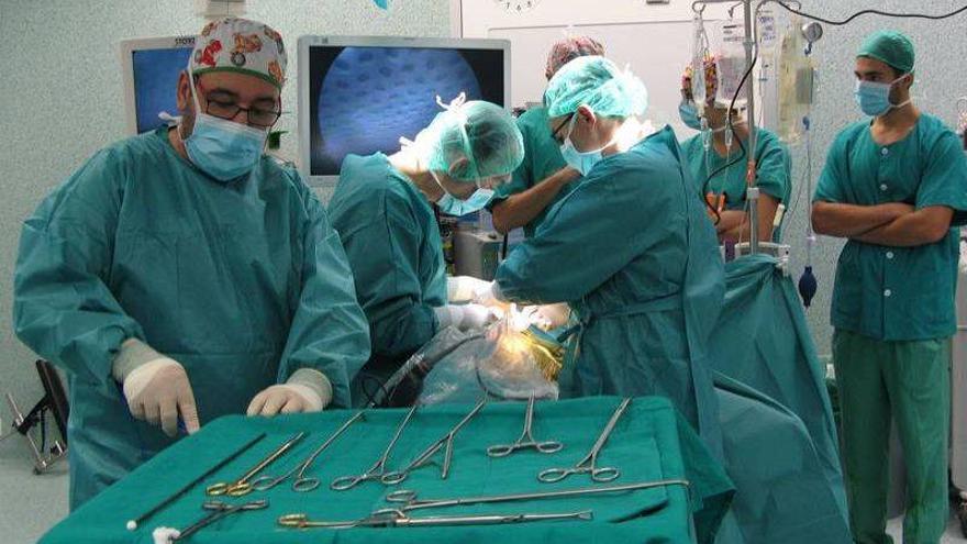 El Servet, referente europeo para formar a cirujanos torácicos