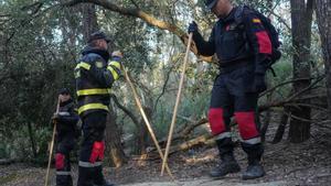 "No a la caça com a únic mètode de control dels senglars"