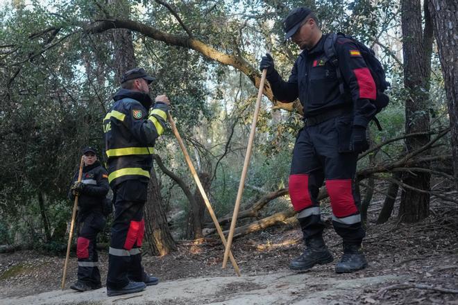 "No a la caça com a únic mètode de control dels senglars"