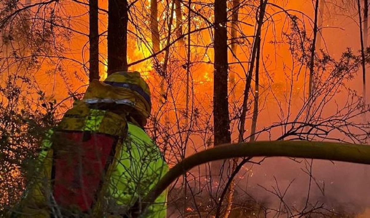 Incendi forestal a les Useres