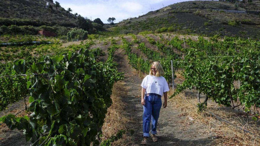 Musicaridaje: vino y música en vivo entre viñedos en Bodega Los Lirios, en Gran Canaria