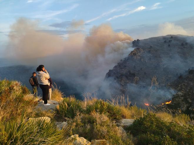 Incendio forestal en la Cala Llebeig en Teulada