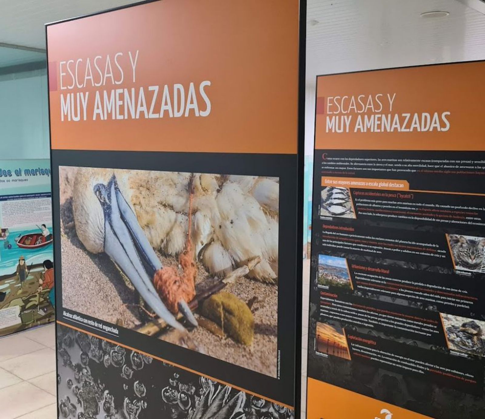 La exposición explica las especies que están más amenazadas.  | // FDV