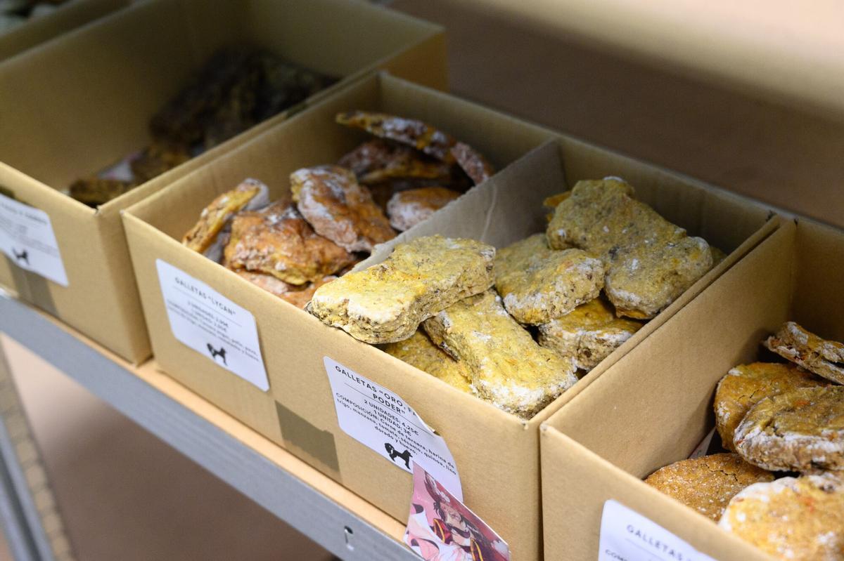 En imágenes | Así es la primera pastelería para mascotas en Aragón