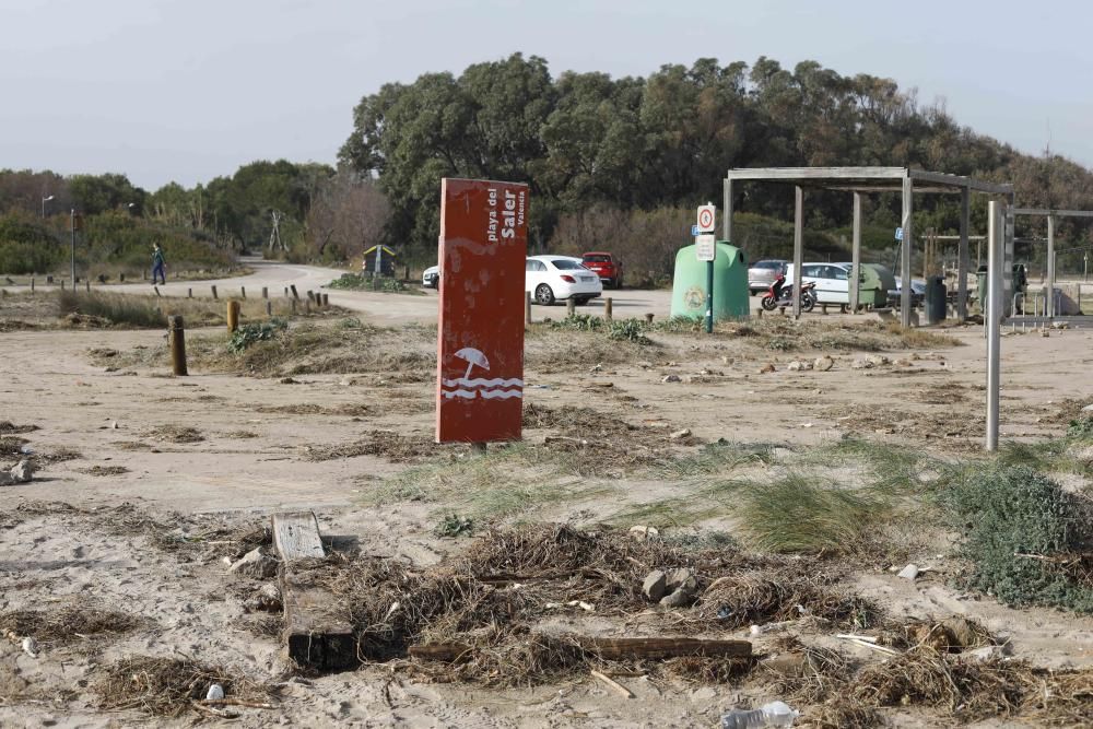 Los efectos de la borrasca Gloria en Valencia