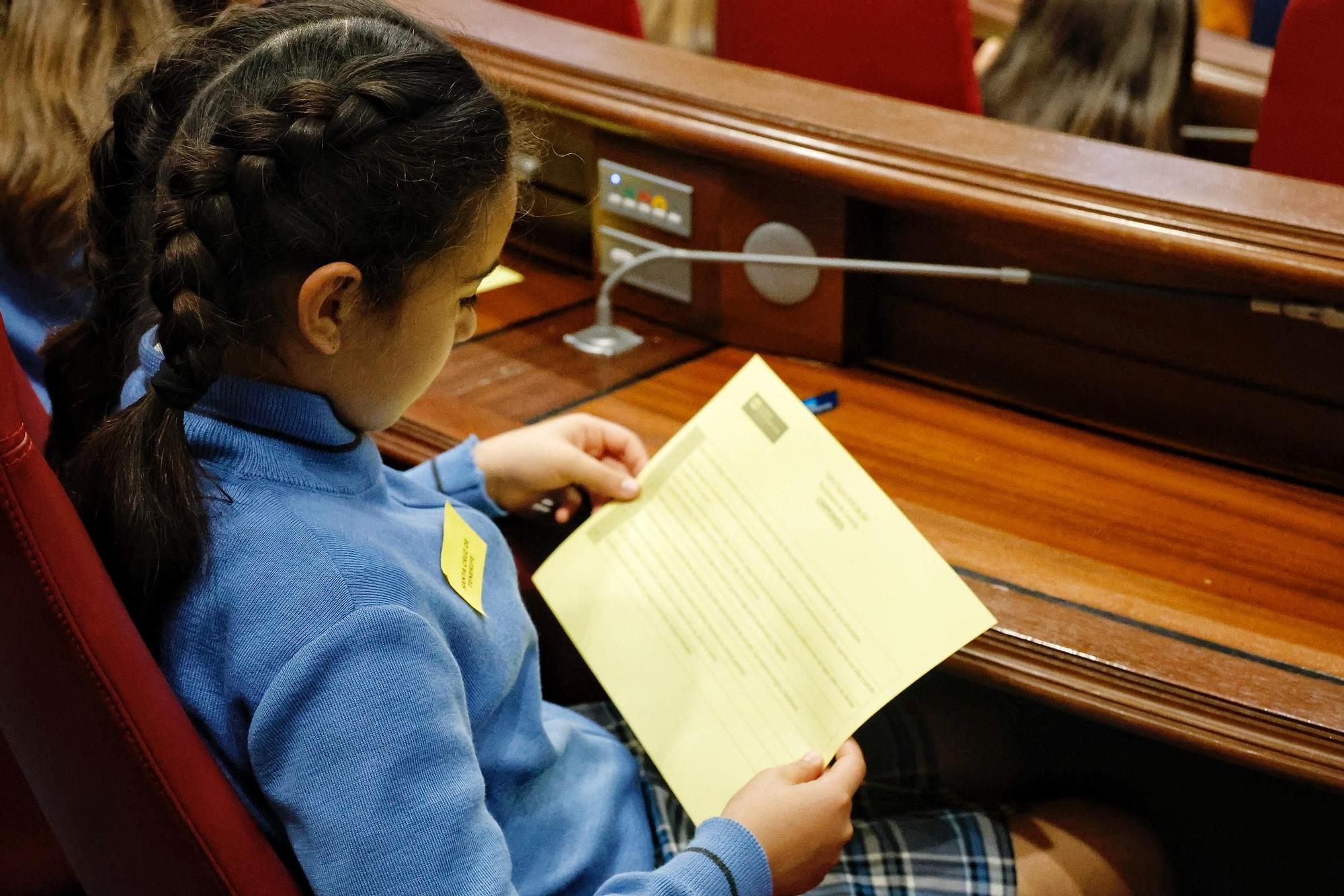 Escolares en el Parlamento de Canarias