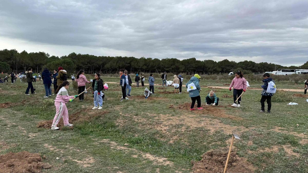 Un momento de la plantación junto a la zona de Lo Albentosa
