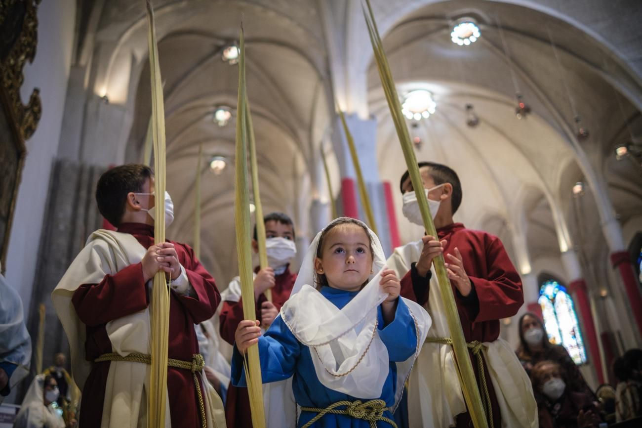 Procesión del Paso de la Entrada de Jesús a Jerusalén en La Laguna