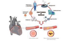 Cada dia moren a Espanya 350 persones per malalties cardiovasculars