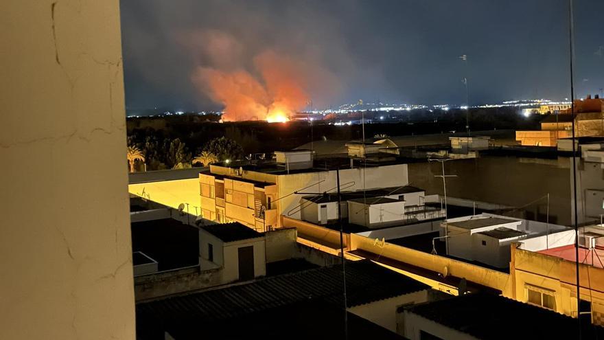 Arde una zona de cañas de madrugada en Carcaixent