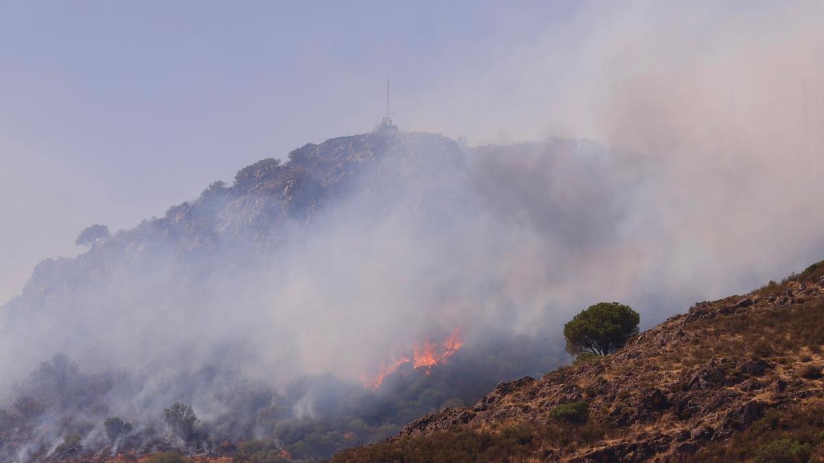 Incendio en Cerro Muriano.