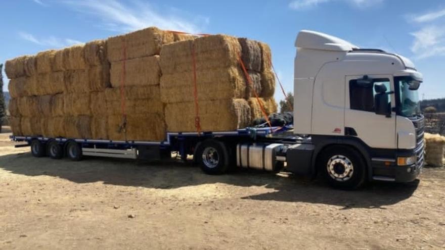 Camión con alimentación animal en Sesnández.