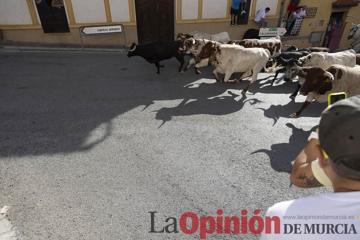 Cuarto encierro en las Fiestas de Moratalla