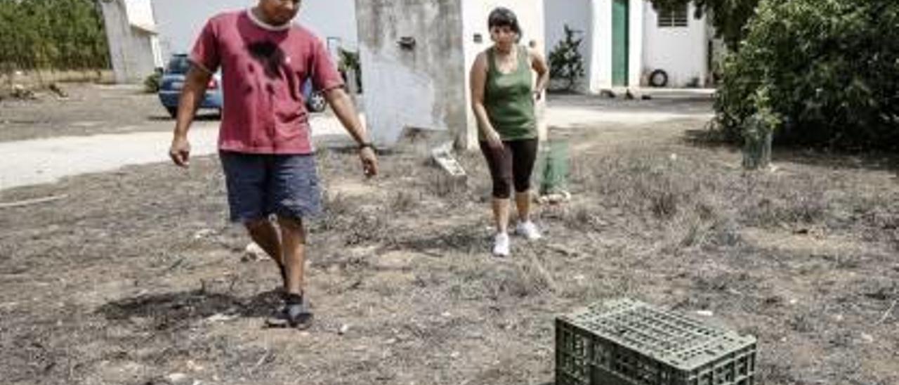 Lugar donde fue hallado el cráneo en la finca La Torre.