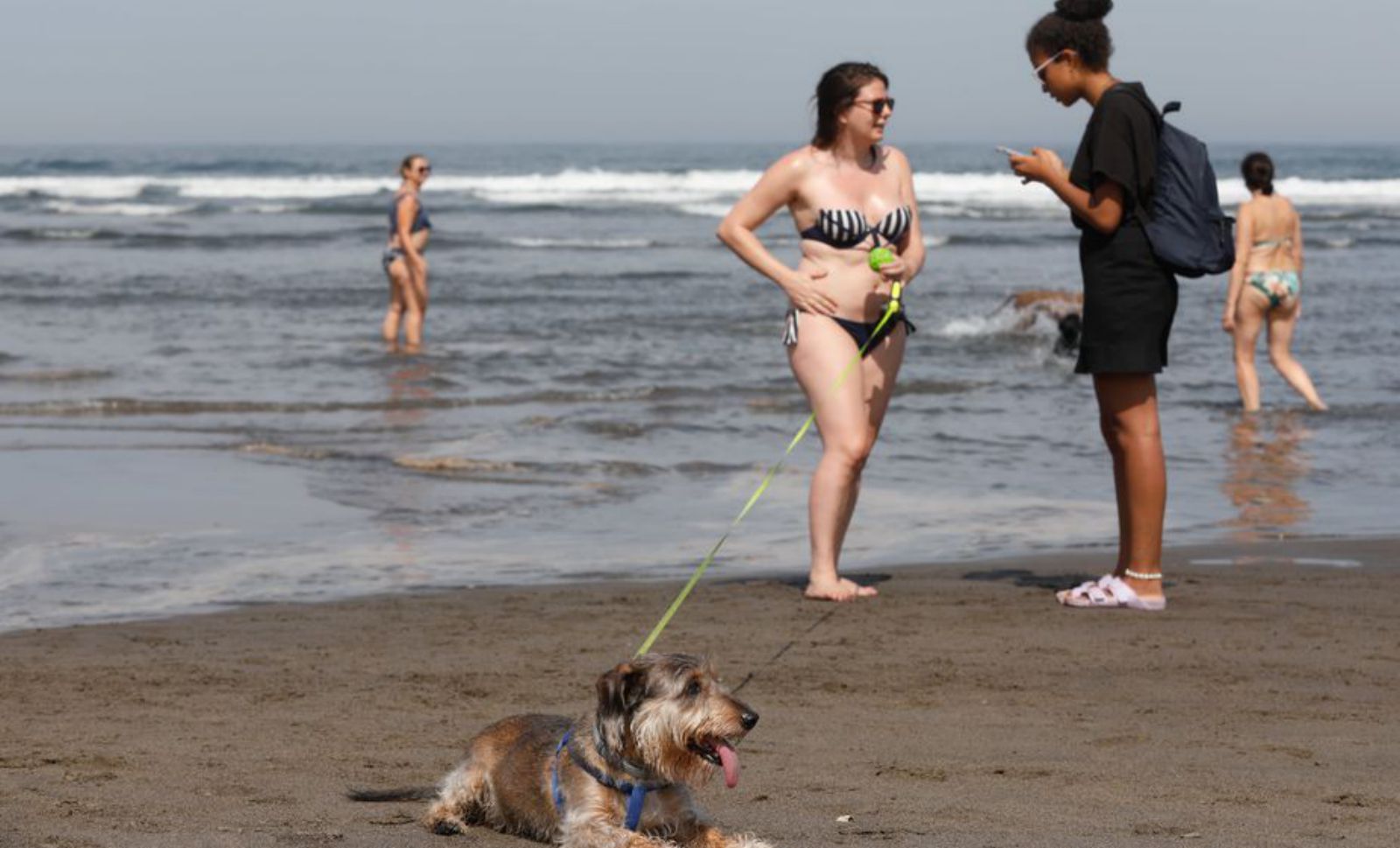 Laura Ferande y su perro «Sipi». | M. Villamuza