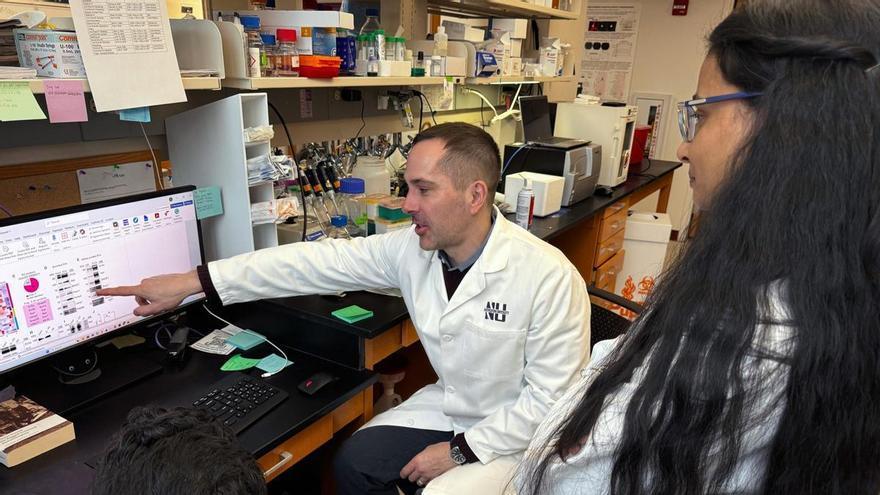 Un medicamento antiepiléptico común podría prevenir la formación de las 'placas' que causan el alzhéimer: "Su uso podría reducir el riesgo"