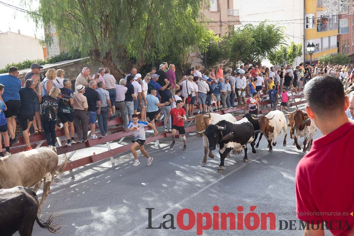 Séptimo encierro de las Fiestas de Moratalla