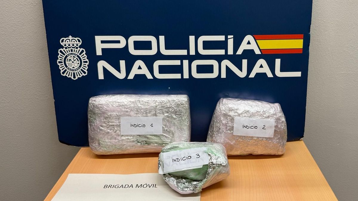 La Policía detiene en Sants-Estació a un solicitante de asilo con 2,5 kilos de cocaína