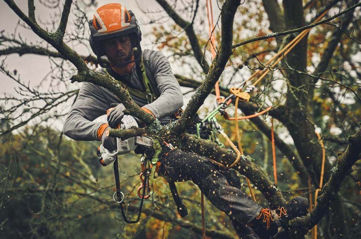Trabajo forestal con maquinaria STIHL