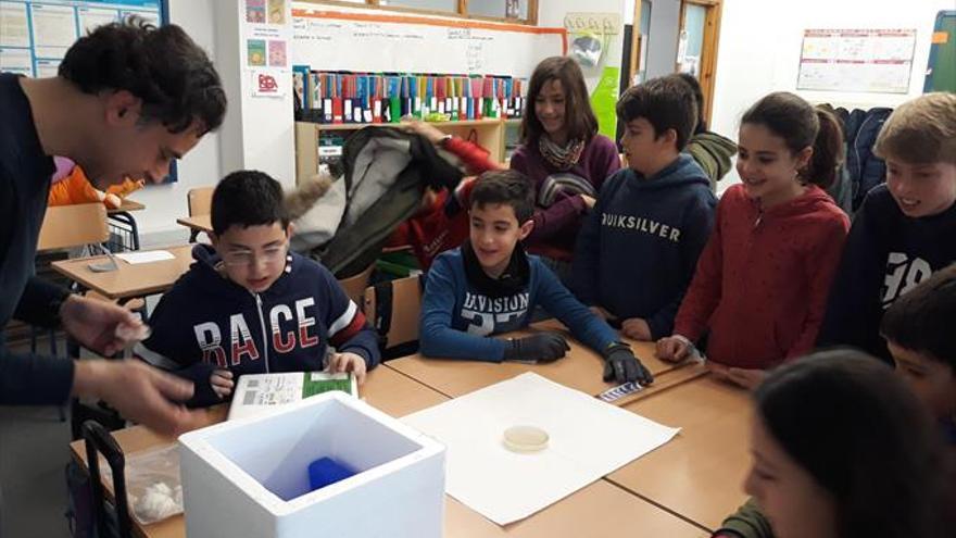 El CEIP Europa acerca la ciencia a sus alumnos a través de prácticas