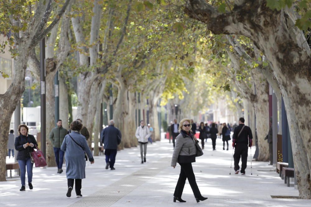 El paseo Alfonso X de Murcia, completamente peatonalizado