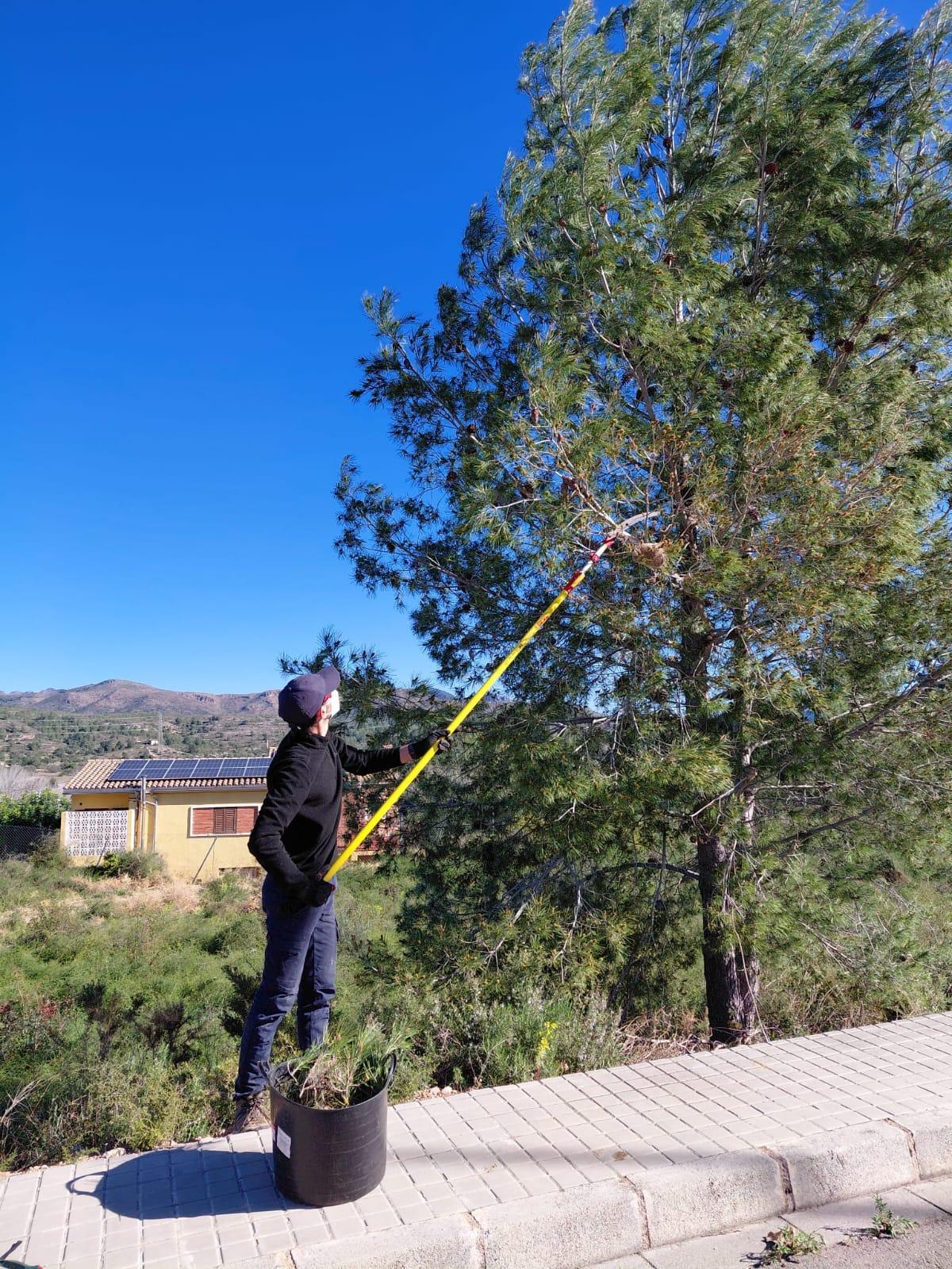 El dron accede donde no llegan los trabajos terrestres sobre el terreno.