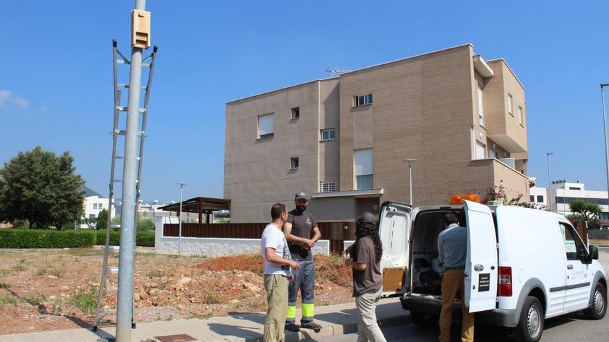 Nules combate los mosquitos con cajas nido para colonias de murciélagos