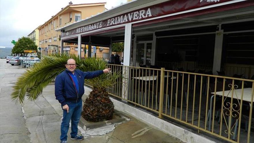 Roban en el restaurante Primavera y en el edificio del Guadalinfo