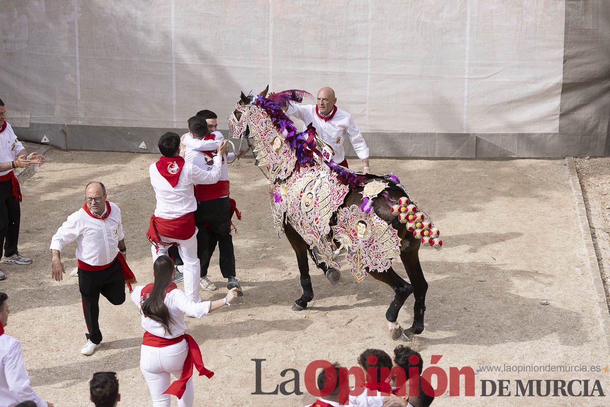 Así se ha vivido la carrera de Los Caballos del Vino en Caravaca