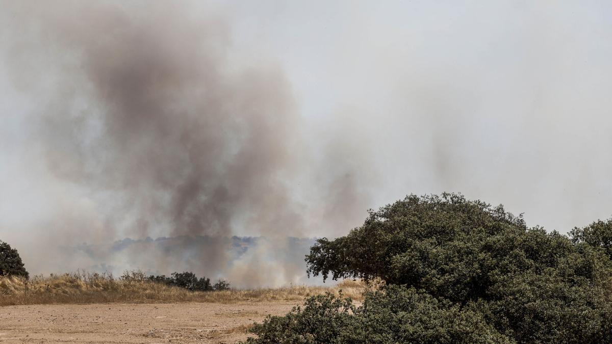Bomberos del Infoca intervienen en un incendio en el campo de tiro de la base militar de Cerro Muriano en Córdoba Bomberos del Infoca intervienen en un incendio en el campo de tiro de la base militar de Cerro Muriano en Córdoba