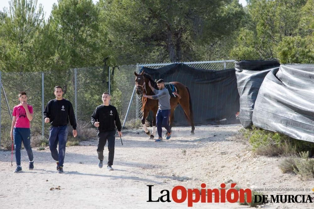 Entrenamiento Caballos del Vino